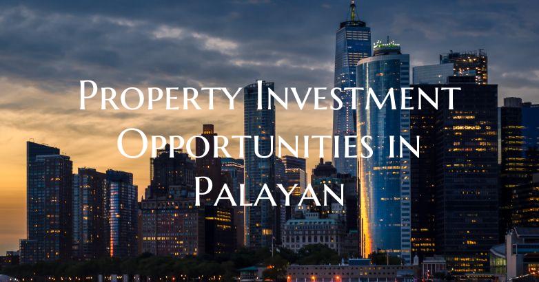 Property Investment Opportunities in Palayan